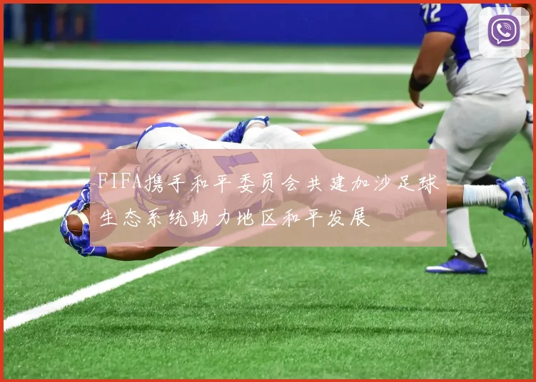 FIFA携手和平委员会共建加沙足球生态系统助力地区和平发展