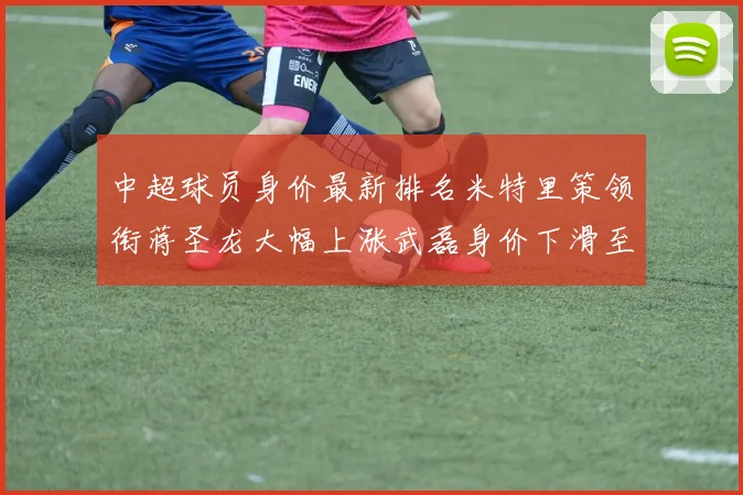 中超球员身价最新排名米特里策领衔蒋圣龙大幅上涨武磊身价下滑至50万