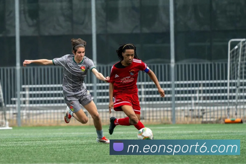 App Interface Preview